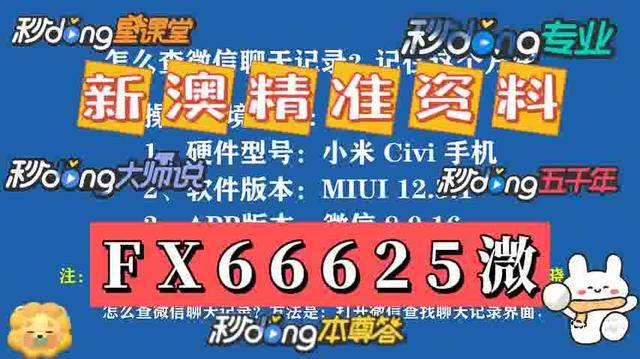 2025新澳门跟香港天天精准免费大全,精选解析、解释与落实